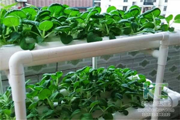 無土栽培，無土栽培技術(shù)