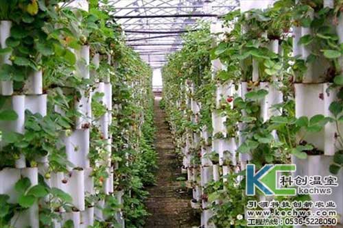 無土栽培，無土栽培技術，無土栽培設備