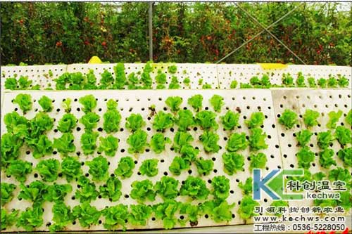 無土栽培，無土栽培技術，無土栽培設備