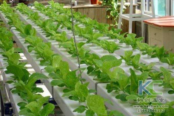 無土栽培，無土栽培技術，無土栽培設備