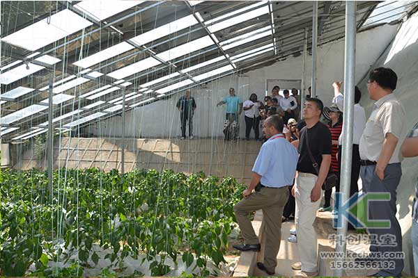 無(wú)土栽培，無(wú)土栽培技術(shù)，無(wú)土栽培設(shè)備
