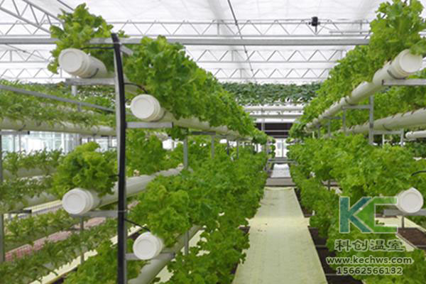 無土栽培，無土栽培技術，無土栽培設備