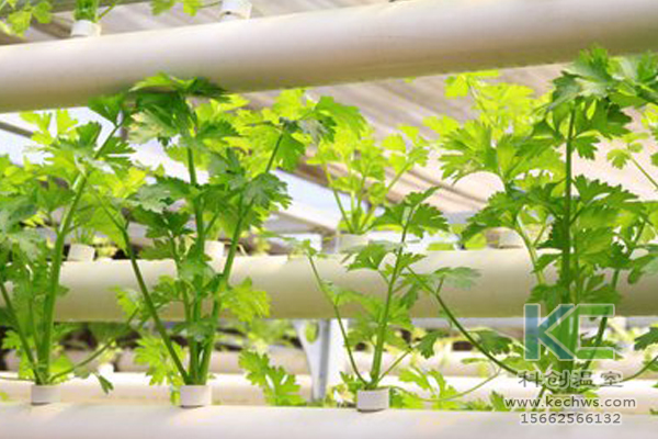 無土栽培，無土栽培技術，無土栽培設備