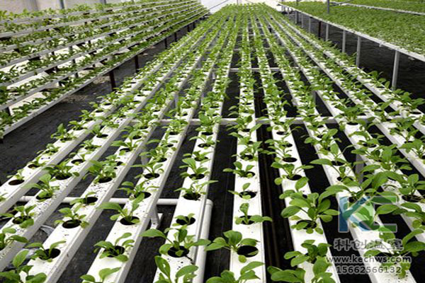 無土栽培，無土栽培技術(shù)，無土栽培設(shè)備