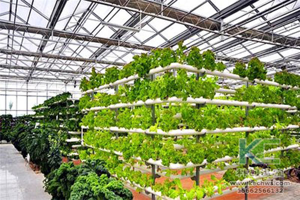 無(wú)土栽培技術(shù)，無(wú)土栽培設(shè)備，無(wú)土栽培，溫室大棚