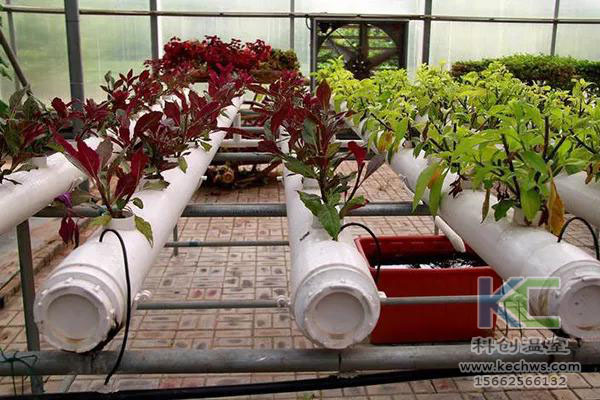 無(wú)土栽培，無(wú)土栽培技術(shù)，無(wú)土栽培設(shè)備