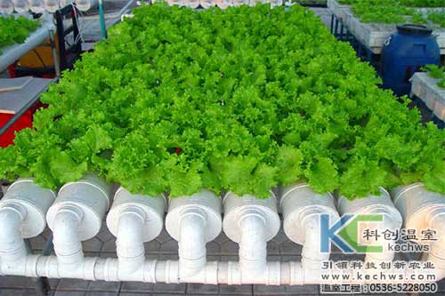 無土栽培，無土栽培技術(shù)，無土栽培設(shè)備