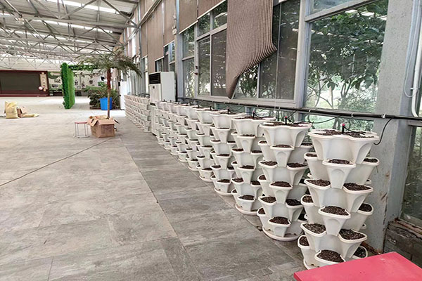 無土栽培，無土栽培技術，無土栽培設備