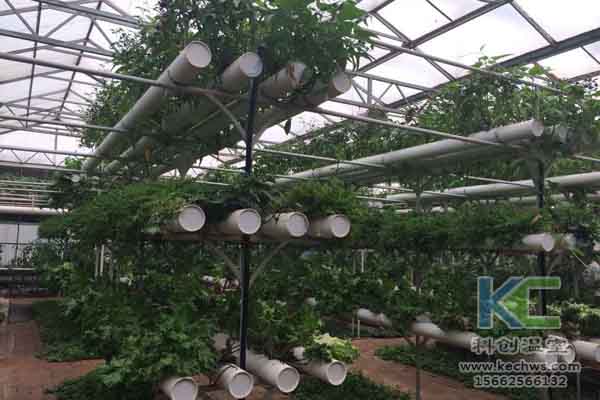 無土栽培技術，無土栽培設備，無土栽培，溫室大棚