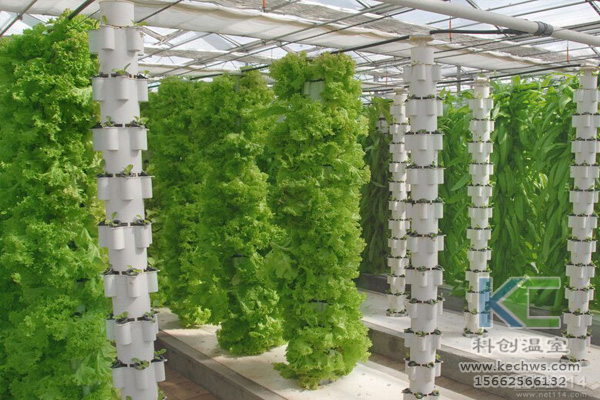 無土栽培，無土栽培技術，無土栽培設備