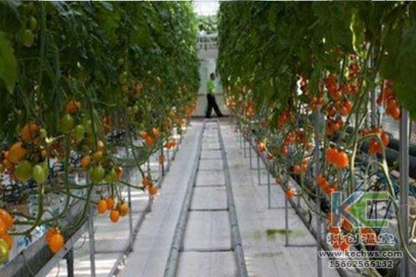 無土栽培，無土栽培技術(shù)，無土栽培設(shè)備