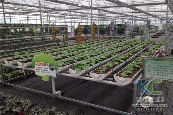 無(wú)土栽培，無(wú)土栽培技術(shù)，無(wú)土栽培設(shè)備