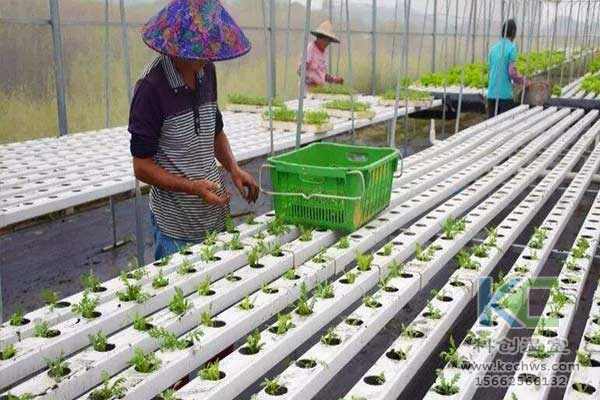 無(wú)土栽培，無(wú)土栽培技術(shù)，無(wú)土栽培設(shè)備