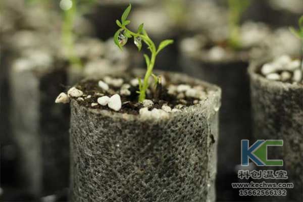 無土栽培，無土栽培技術，無土栽培設備