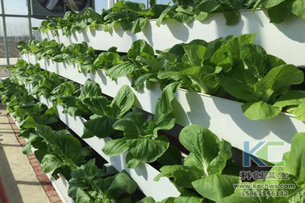 無土栽培，無土栽培技術，無土栽培設備