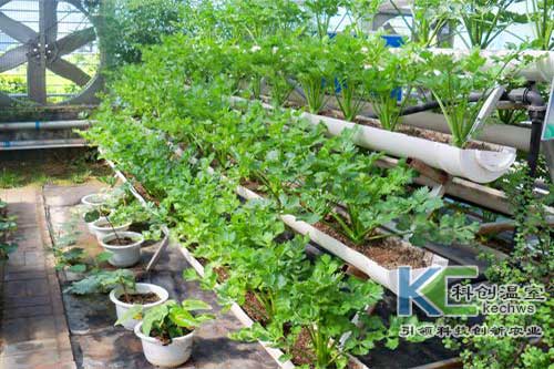 無土栽培，無土栽培技術，無土栽培設備