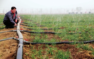 無土栽培,無土栽培技術(shù),無土栽培設(shè)備