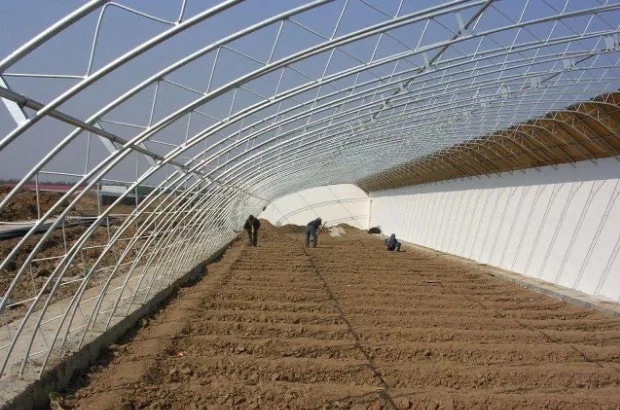 無土栽培,無土栽培技術(shù),無土栽培設(shè)備