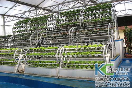 無(wú)土栽培，無(wú)土栽培技術(shù)，無(wú)土栽培設(shè)備