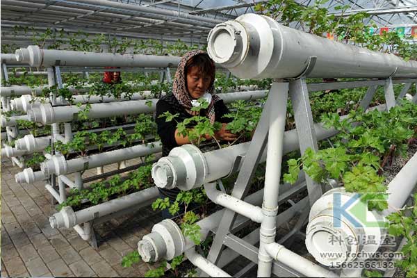 無土栽培，無土栽培技術，無土栽培設備