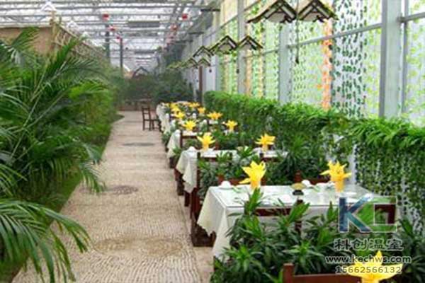 無土栽培，無土栽培技術，無土栽培設備