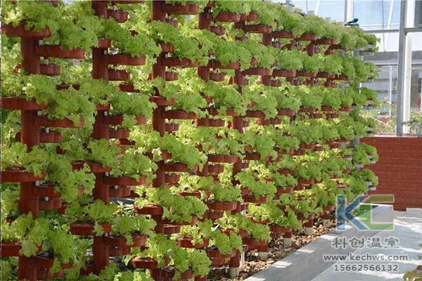 無(wú)土栽培，無(wú)土栽培技術(shù)，無(wú)土栽培設(shè)備