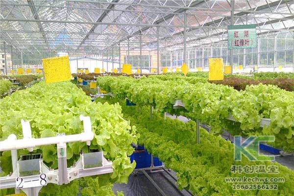 無土栽培，無土栽培技術，無土栽培設備