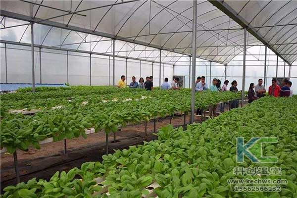 無(wú)土栽培，無(wú)土栽培技術(shù)，無(wú)土栽培設(shè)備