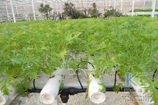 無土栽培，無土栽培技術，無土栽培設備