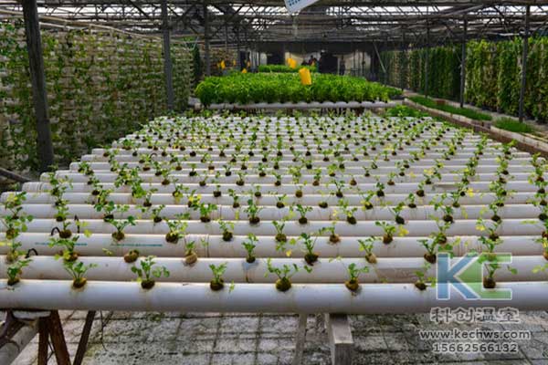 無土栽培，無土栽培技術，無土栽培設備