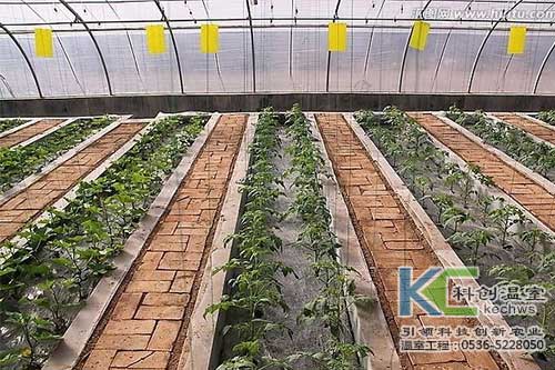 無(wú)土栽培，無(wú)土栽培技術(shù)，無(wú)土栽培設(shè)備