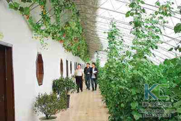 無土栽培，無土栽培技術，無土栽培設備