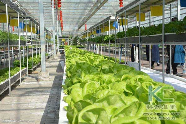 無土栽培，無土栽培技術，無土栽培設備