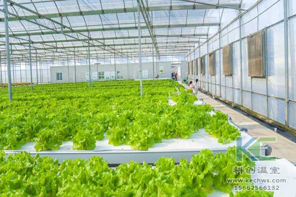 無土栽培，無土栽培技術(shù)，無土栽培設(shè)備