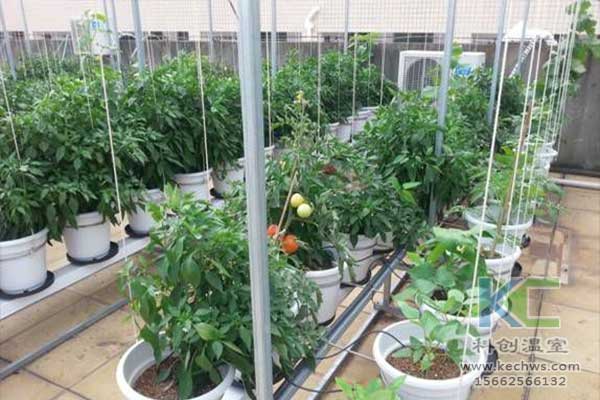 無土栽培，無土栽培技術(shù)，無土栽培設(shè)備