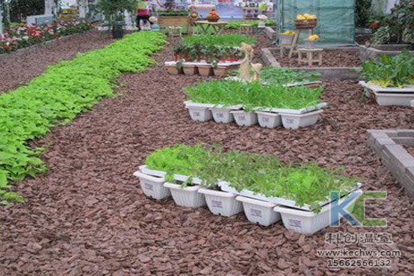 無土栽培技術，魚菜共生系統，無土栽培，溫室大棚