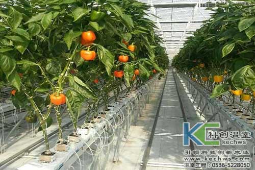 無(wú)土栽培，無(wú)土栽培技術(shù)，無(wú)土栽培設(shè)備