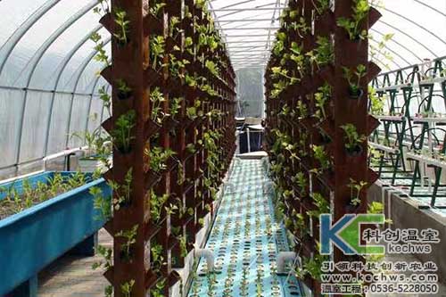 無(wú)土栽培,無(wú)土栽培技術(shù),無(wú)土栽培設(shè)備
