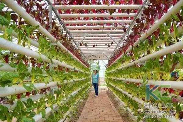 無(wú)土栽培，無(wú)土栽培技術(shù)，無(wú)土栽培設(shè)備