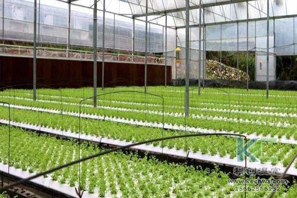 無土栽培，無土栽培技術(shù)，無土栽培設(shè)備