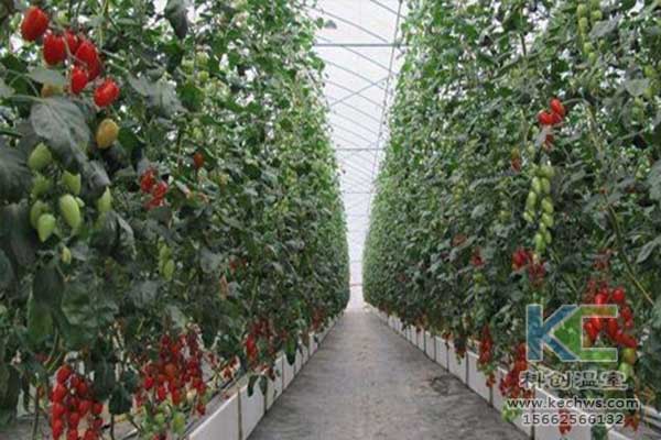 無土栽培，無土栽培技術(shù)，無土栽培設(shè)備