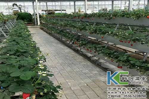 無土栽培，無土栽培技術(shù)，無土栽培設(shè)備