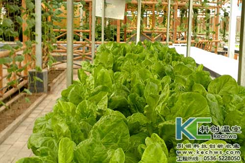 無土栽培，無土栽培技術，無土栽培設備