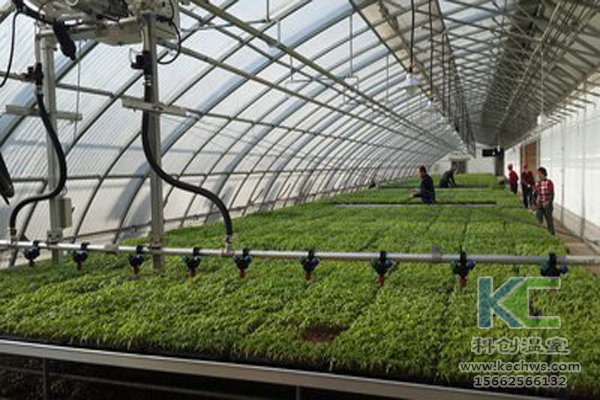 無土栽培技術,無土栽培設備,營養(yǎng)液,溫室大棚