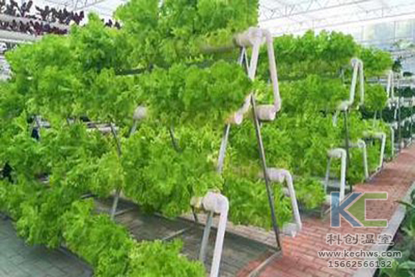 休閑農業，無土栽培技術，無土栽培，溫室大棚