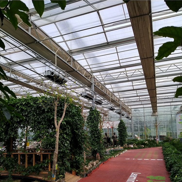 無土栽培,無土栽培技術(shù),無土栽培設(shè)備