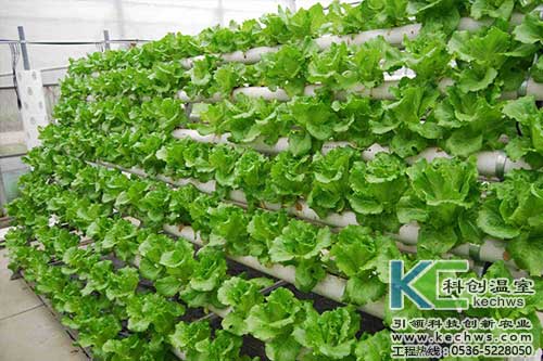 無土栽培，無土栽培技術，無土栽培設備