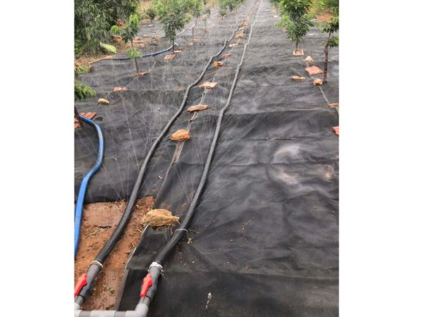 無土栽培，無土栽培技術(shù)，無土栽培設(shè)備