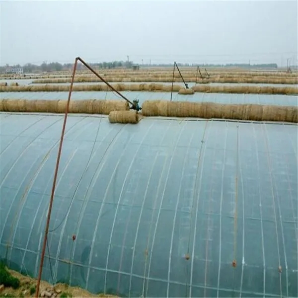 無(wú)土栽培,無(wú)土栽培技術(shù),無(wú)土栽培設(shè)備