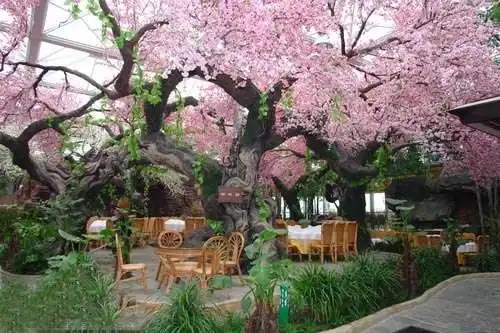 無土栽培，無土栽培技術，無土栽培設備